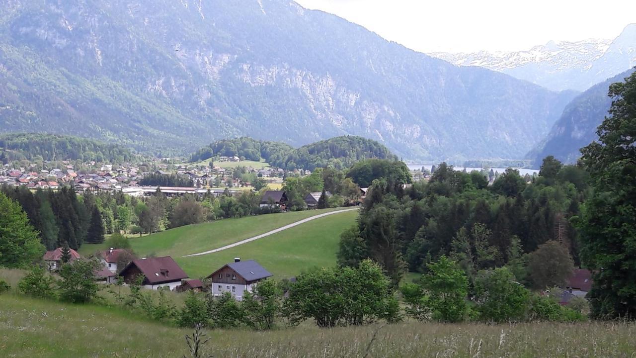 Apartment Sandra Bad Goisern Bagian luar foto